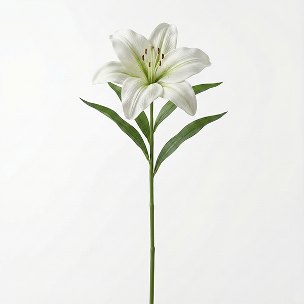 Artificial Lily