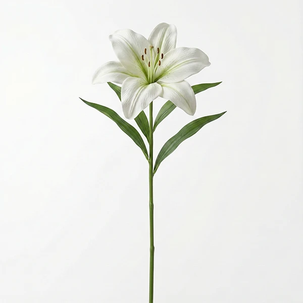 Artificial Lily