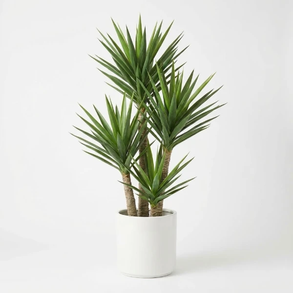 Artificial Yucca Plant