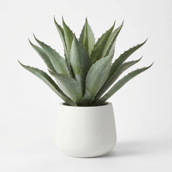Faux Agave Plant