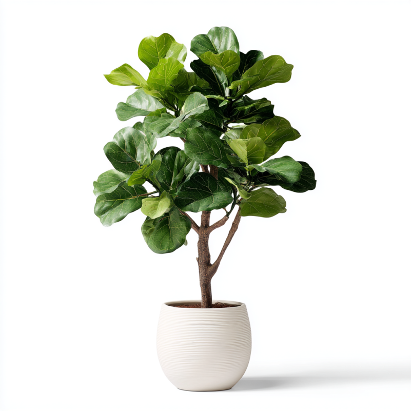 Faux Fiddle Leaf Tree